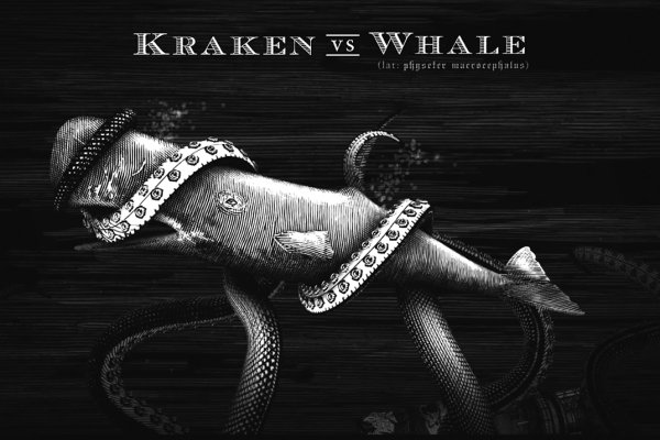 Kraken 2kr pro