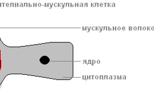 Кракена точка нет
