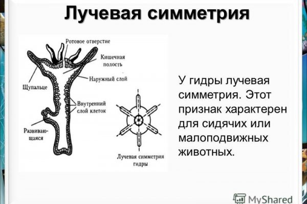 Кракен krakens13 at